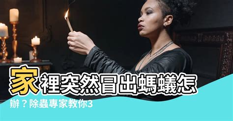 家裏突然有螞蟻|【消滅螞蟻】家裡有螞蟻怎麼辦？6種天然方法驅逐螞。